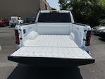 2025 Ram 1500 Crew Cab 4x4 Pickup for sale #D11216 - photo 22