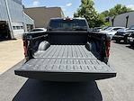 2025 Ram 1500 Crew Cab 4x4 Pickup for sale #D11229 - photo 21