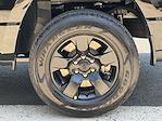 2025 Ram 1500 Crew Cab 4x4 Pickup for sale #D11233 - photo 25