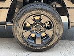 2025 Ram 1500 Crew Cab 4x4 Pickup for sale #D11234 - photo 26