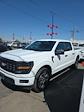 2024 Ford F-150 SuperCrew Cab 4WD Pickup for sale #RKD04005 - photo 1