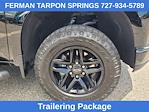 2020 Chevrolet Silverado 1500 Crew Cab 4WD Pickup for sale #WI283602 - photo 14