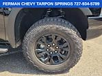 2025 Chevrolet Silverado 1500 Crew Cab 4WD Pickup for sale #25T1204 - photo 11