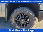 New 2026 Chevrolet Silverado 2500 LTZ Crew Cab for sale #26T134 - photo 14
