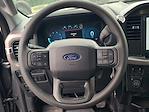 2025 Ford F-150 SuperCrew Cab 4x4 Pickup for sale #5R5511 - photo 19