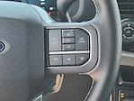 2025 Ford F-150 SuperCrew Cab 4x4 Pickup for sale #5R5528 - photo 22