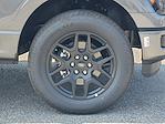 2025 Ford F-150 SuperCrew Cab 4x4 Pickup for sale #5R5534 - photo 5