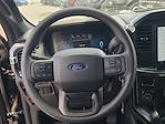2025 Ford F-150 SuperCrew Cab 4x4 Pickup for sale #5R5540 - photo 20