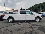 New 2025 Ford F-150 XL SuperCrew Cab 4x4 Pickup for sale #5R5543 - photo 6