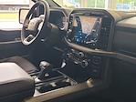 2025 Ford F-150 SuperCrew Cab 4x4 Pickup for sale #5R5546 - photo 10