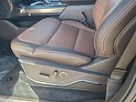 2025 Ford F-150 SuperCrew Cab 4WD Pickup for sale #5R5566 - photo 16