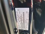 2025 Ford F-150 SuperCrew Cab 4WD Pickup for sale #5R5566 - photo 27