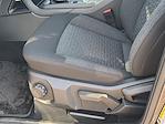 New 2025 Ford Ranger XLT SuperCrew Cab 4x4 Pickup for sale #5R7002 - photo 12