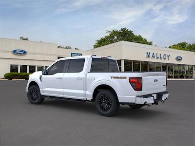 2025 Ford F-150 SuperCrew Cab 4x4 Pickup for sale #TF25393 - photo 2