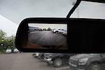 New 2025 Chevrolet Express 2500 Upfitted Cargo Van for sale #66779 - photo 14