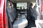 2024 Ford F-250 Crew Cab 4x4 Pickup for sale #66837A - photo 52