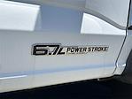 2024 Ford F-550 Regular Cab DRW 4x4 Cab Chassis for sale #FR2682DTC - photo 19