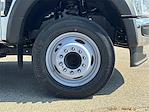 New 2024 Ford F-550 Regular Cab Scelzi SBD-132-94-49-38-VO 11' Service Truck for sale #FR3199C - photo 24