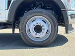 New 2024 Ford F-450 Regular Cab 12' Scelzi Contractor Truck for sale #FR3222C - photo 25