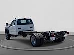 New 2025 Ford F-600 Regular Cab Cab Chassis for sale #FS2030C - photo 2