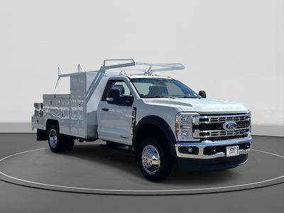 New 2025 Ford F-550 - photo 1