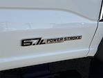 2026 Ford F-450 Regular Cab DRW RWD Cab Chassis for sale #FT0220C - photo 19