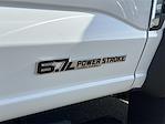 2026 Ford F-550 Crew Cab DRW RWD Scelzi Combo Body for sale #FT0320C - photo 20