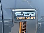 2021 Ford F-150 SuperCrew Cab 4x4 Pickup for sale #V67521 - photo 28