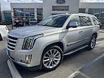 2020 Cadillac Escalade 4WD SUV for sale #V67855 - photo 1