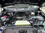 2025 Ford F-150 Regular Cab 4WD Pickup for sale #V67879 - photo 19