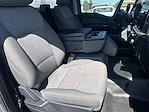 2024 Ford F-150 Regular Cab RWD Pickup for sale #V67882 - photo 25