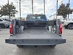 2024 Ford F-150 Regular Cab 4WD Pickup for sale #V67946 - photo 19