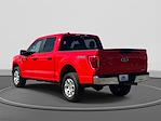 2023 Ford F-150 SuperCrew Cab 4WD Pickup for sale #V67952 - photo 2