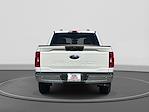 2023 Ford F-150 SuperCrew Cab RWD Pickup for sale #V68608 - photo 6