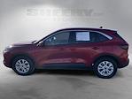 Used 2023 Ford Escape Active for sale #G11305P - photo 15