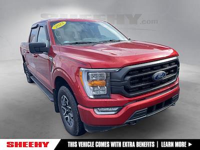 Used 2023 Ford F-150 - photo 1