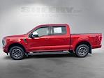 2023 Ford F-150 SuperCrew Cab 4WD Pickup for sale #G11415P - photo 15