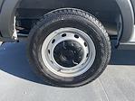 Used 2024 Ford Transit 250 Medium Roof Empty Cargo Van for sale #GA26789A - photo 24