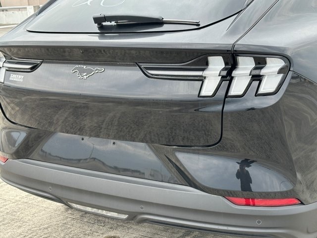 New 2025 Ford Mustang Mach-E - photo 7