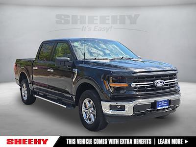 2024 Ford F-150 SuperCrew Cab 4x4 Pickup for sale #GC03099R - photo 1