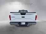 2017 Ford F-150 Regular Cab RWD Pickup for sale #GD80995A - photo 11