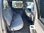 2024 Ford F-150 SuperCrew Cab 4x4 Pickup for sale #GPFA48PA - photo 15