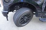 2024 Ford F-250 Crew Cab 4WD Pickup for sale #86296A - photo 31