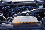 2023 Ford F-150 SuperCrew Cab RWD Pickup for sale #P6182 - photo 25