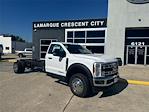 2024 Ford F-550 Regular Cab DRW 4x2, Cab Chassis for sale #RDA32044 - photo 1