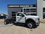 2025 Ford F-550 Regular Cab DRW 4x2 Cab Chassis for sale #SDA15909 - photo 1