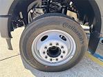 2025 Ford F-550 Regular Cab DRW 4x2 Cab Chassis for sale #SDA15909 - photo 4