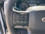 2025 Ford F-600 Regular Cab DRW 4x4 Cab Chassis for sale #SDA15917 - photo 21