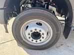 2025 Ford F-550 Regular Cab DRW 4x2 Cab Chassis for sale #SDA15927 - photo 4