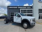 2025 Ford F-550 Regular Cab DRW 4x2 Cab Chassis for sale #SDA16191 - photo 1